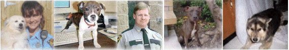 http://www.newbedford-ma.gov/Police/AnimalControl/images/main.jpg