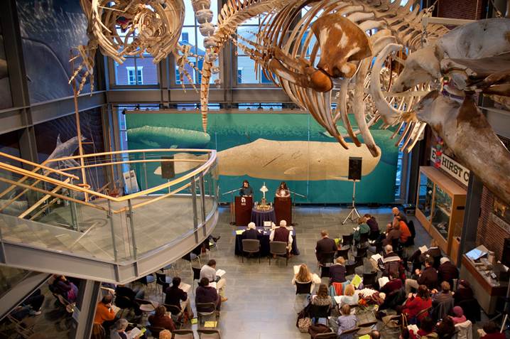 Moby Dick Marathon