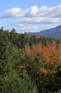t0.jpg
